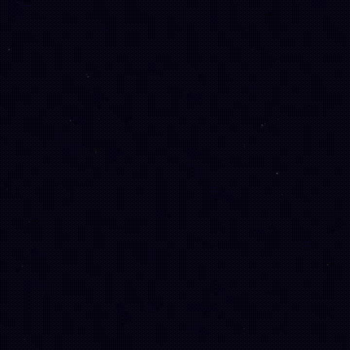 𝕏