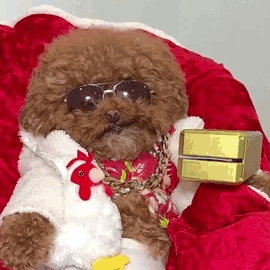 PIMP