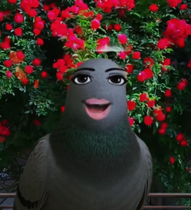 pigeon9000
