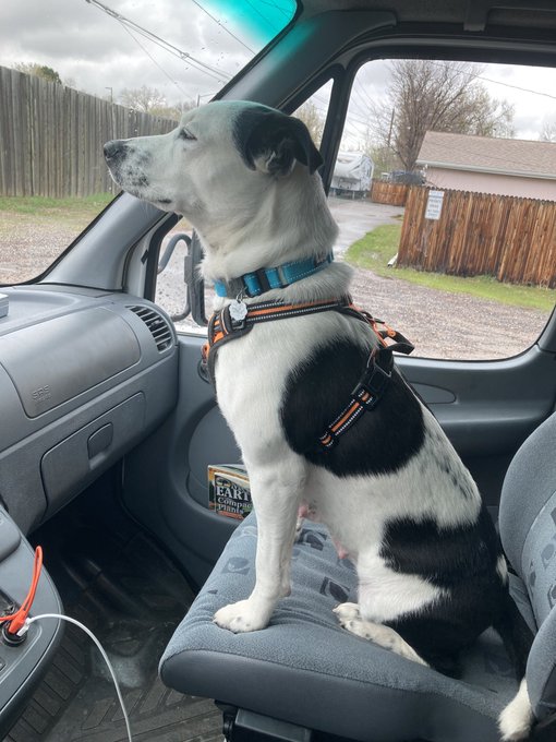 Opie