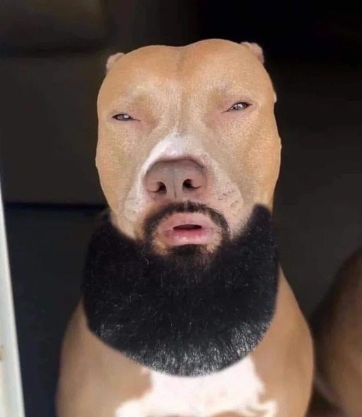 DRIZZ