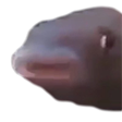 MMMM