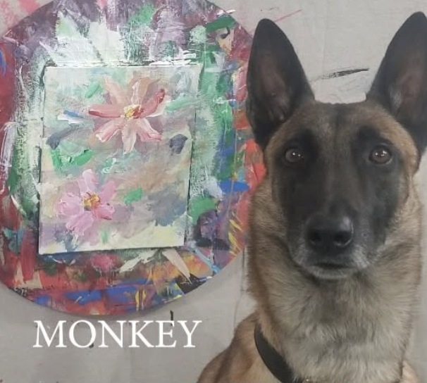 Monkey