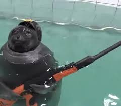 SEAL