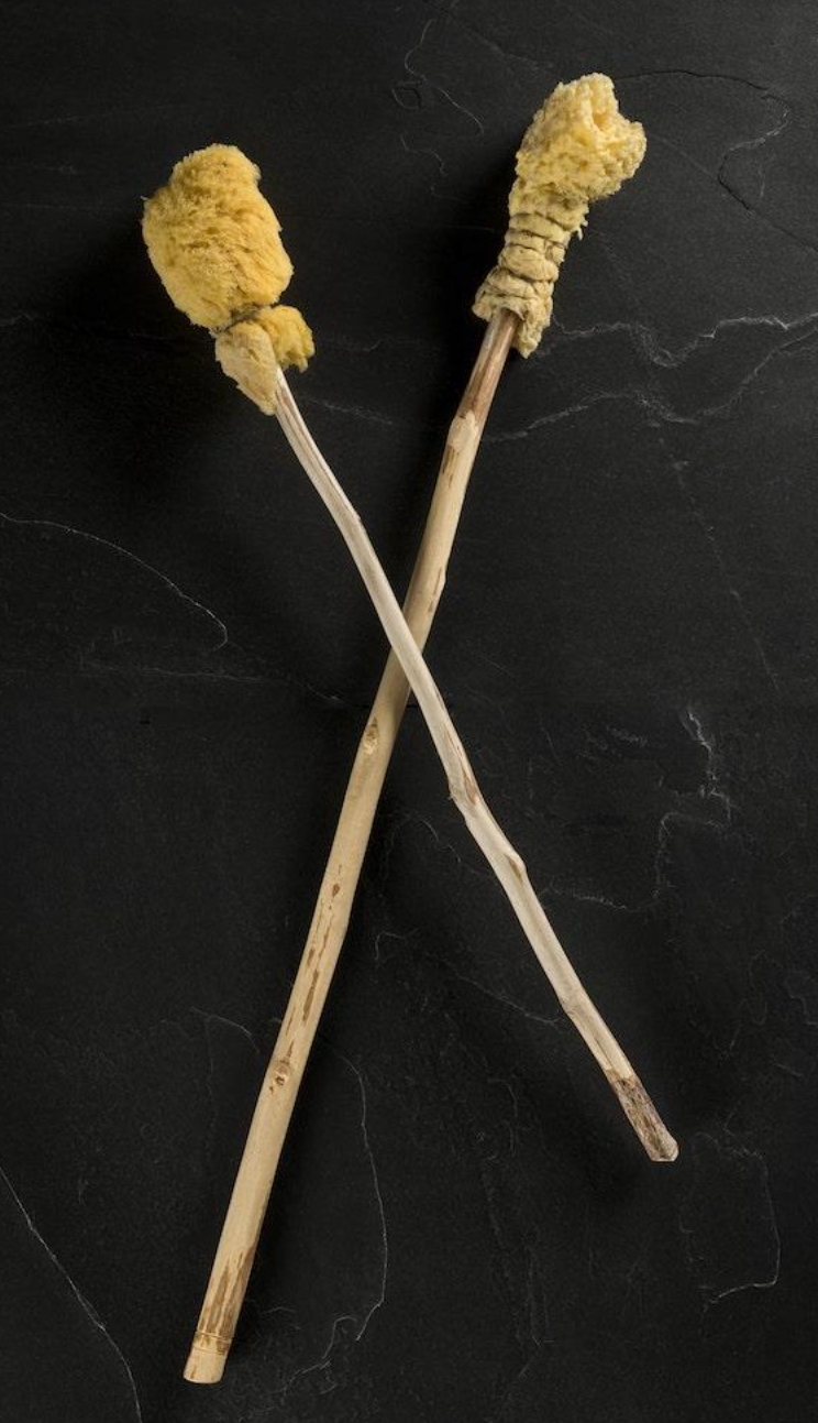 POOSPONGE