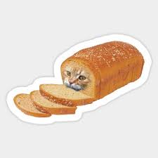 Kitty