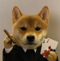 casinu