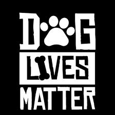 DLM