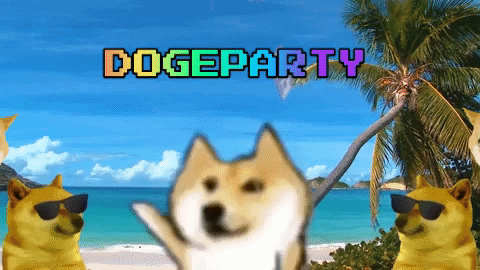$DOGEPARTY
