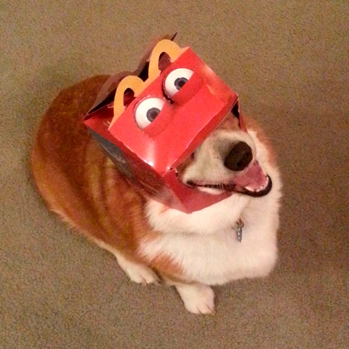 MCD
