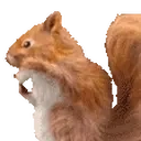 JAMNUT
