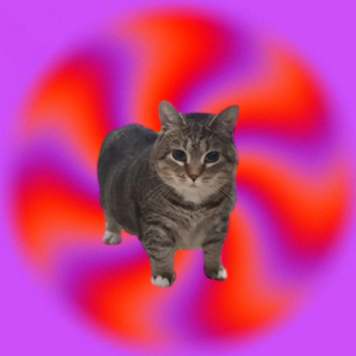 oiiai