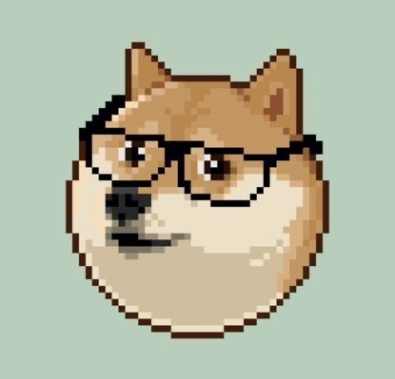 Shibe