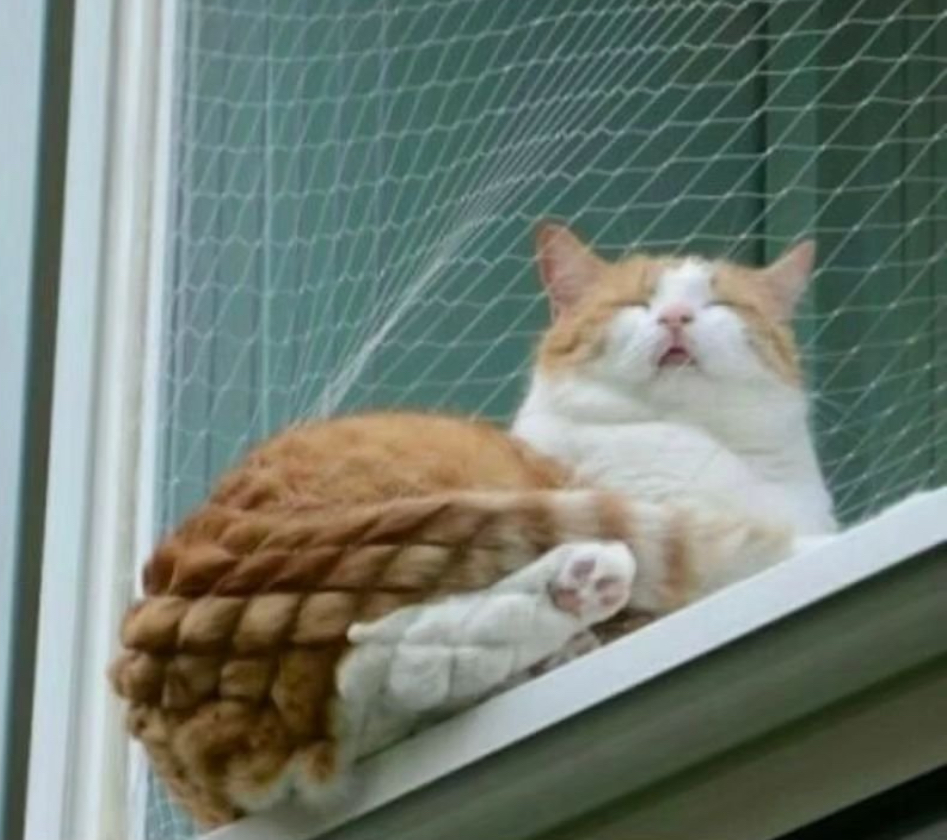 WAFFLE