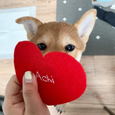 ACHI