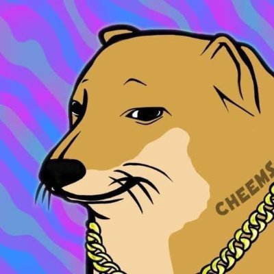 CHEEMS