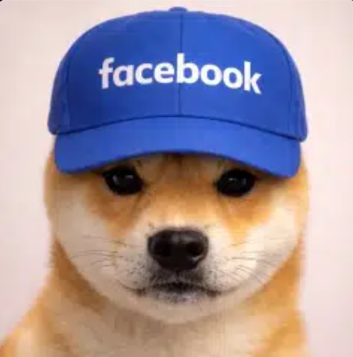 Facedog