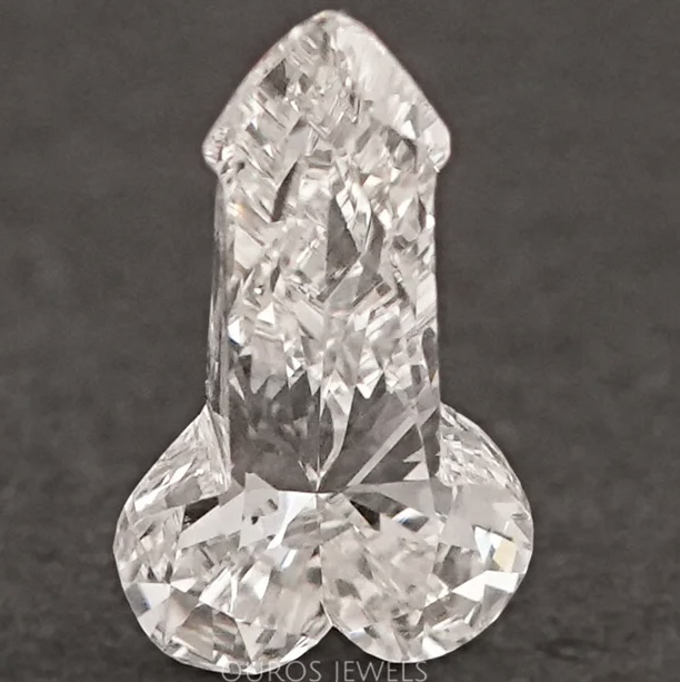 Penis