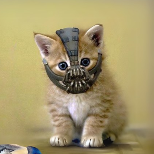 BANECAT