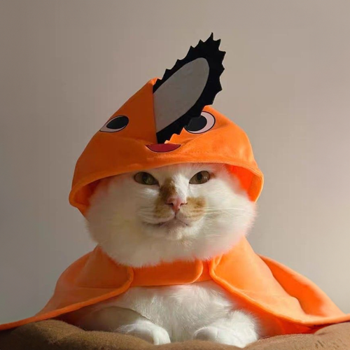 Pochicat