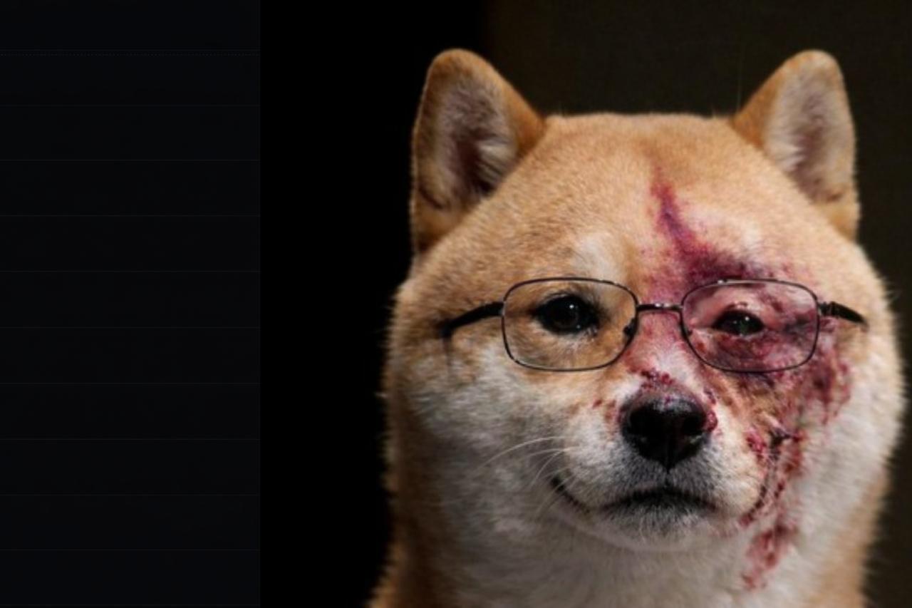 SHIBANCER