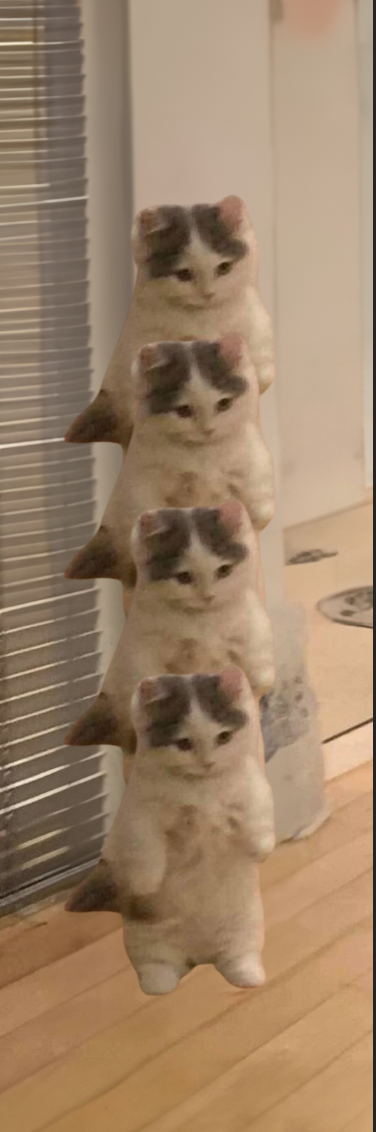 catpillar