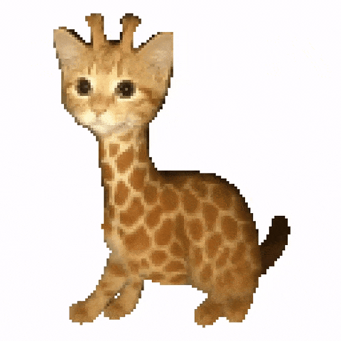 meowraffe