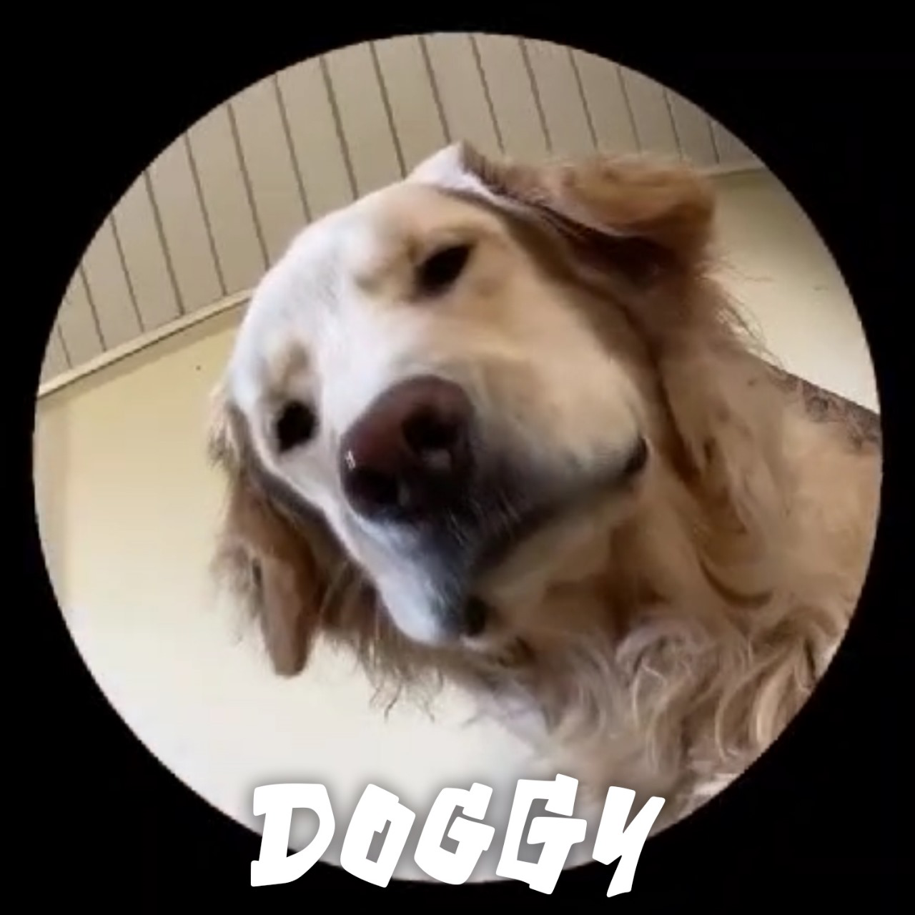 DOGGY