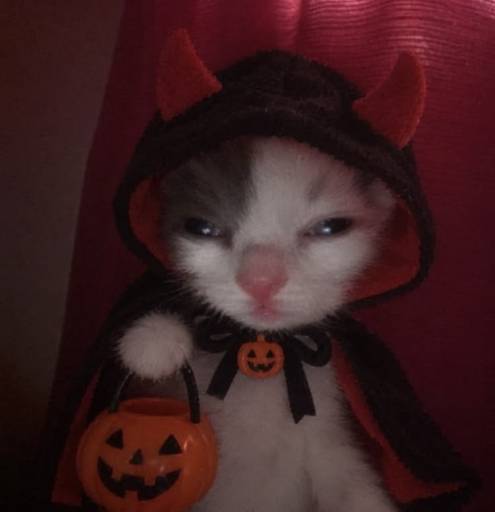 vampcat