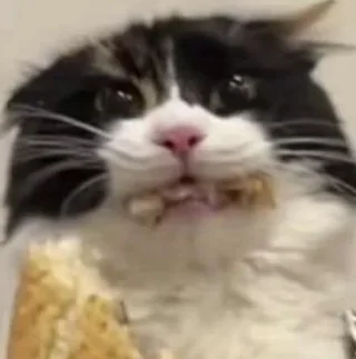 SAMMICH