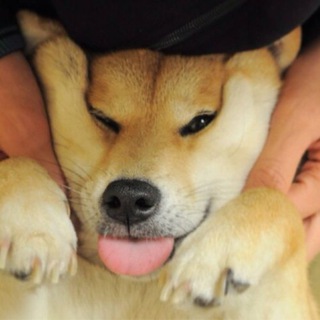 KABOSU
