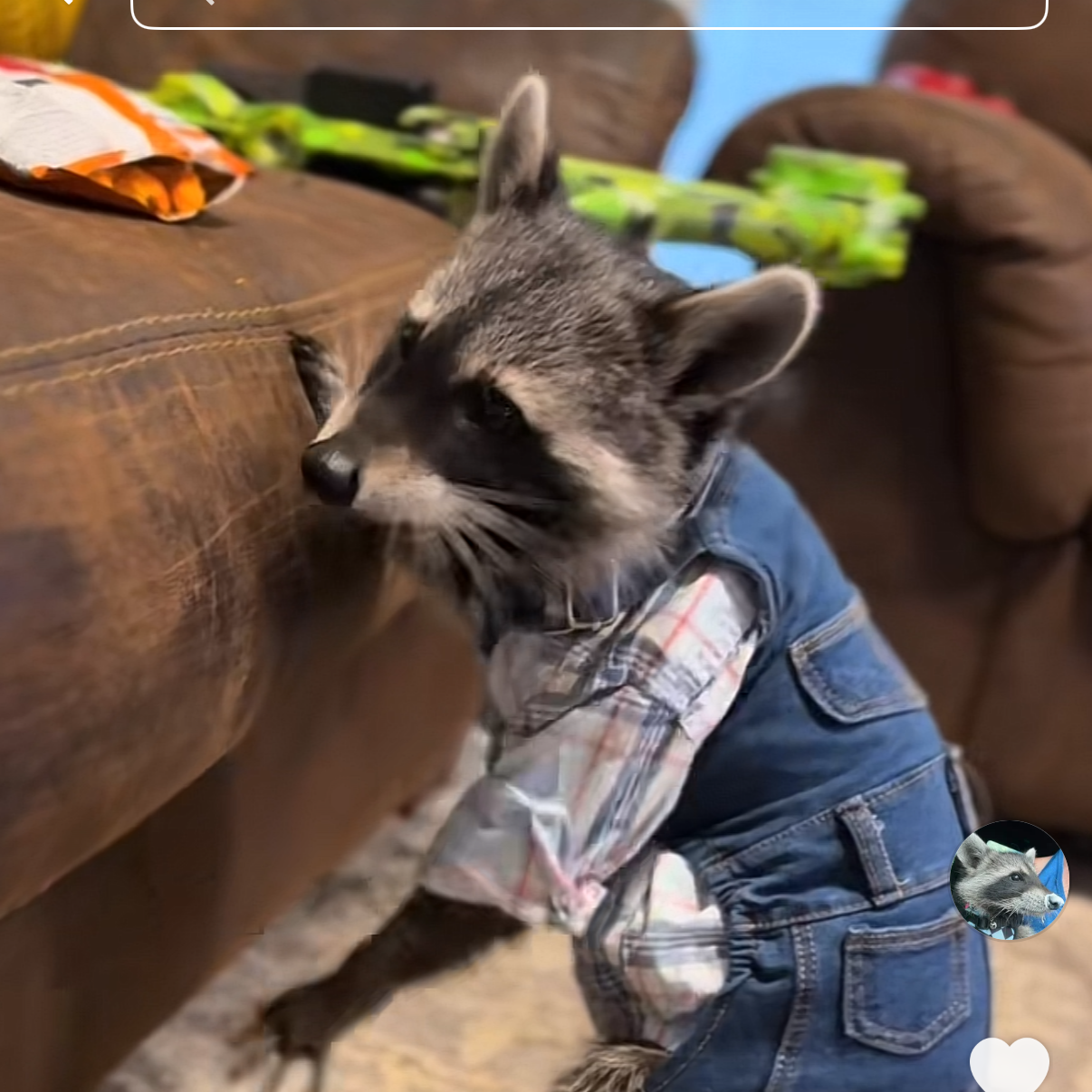 rocket