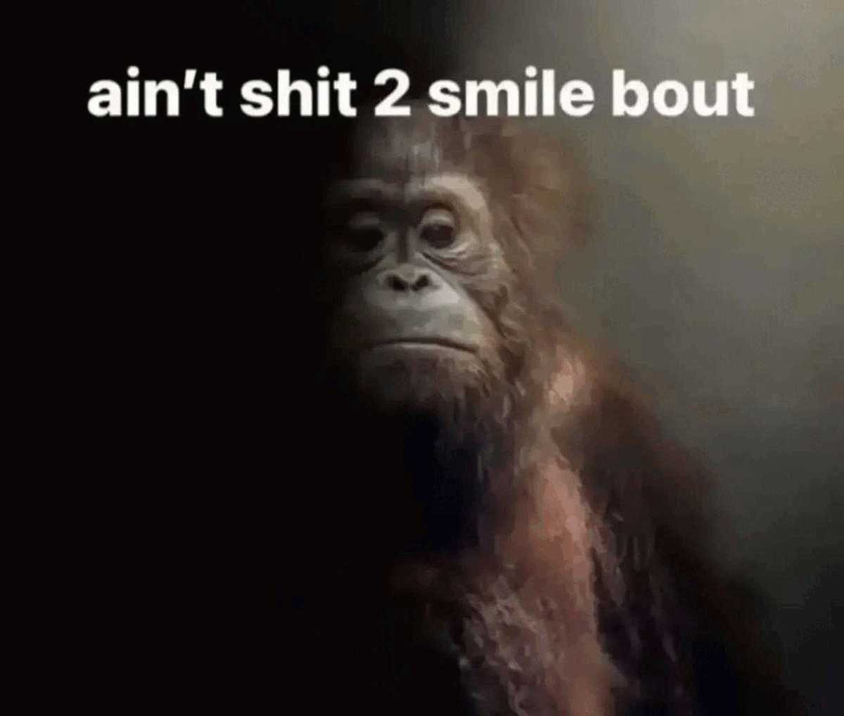 :|