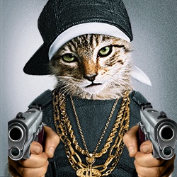 GAT
