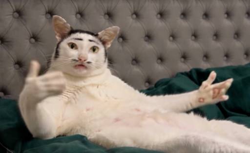 TateCat