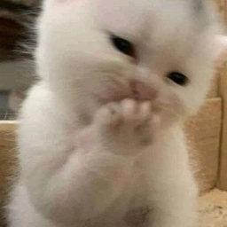 HIHI