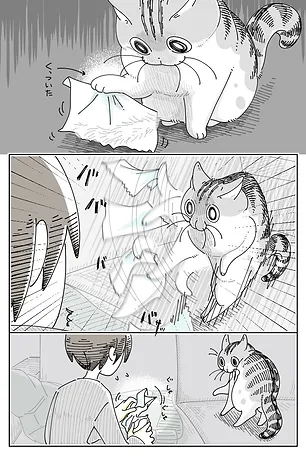 КYURUGА