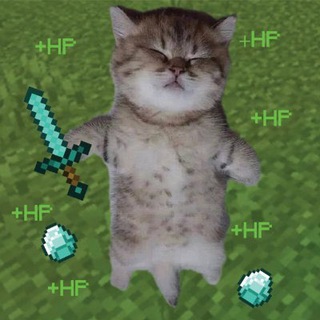 Hitpoints