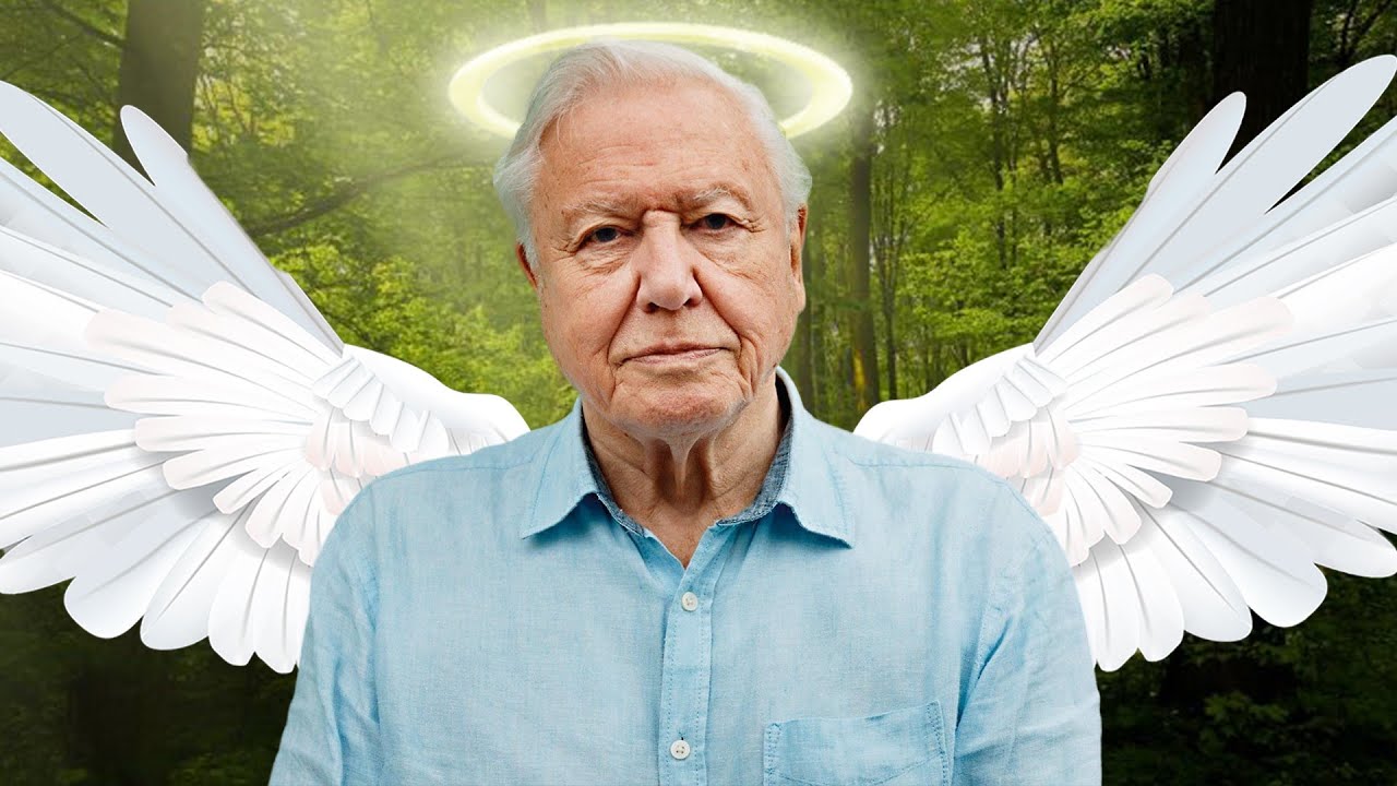 RIPDAVID