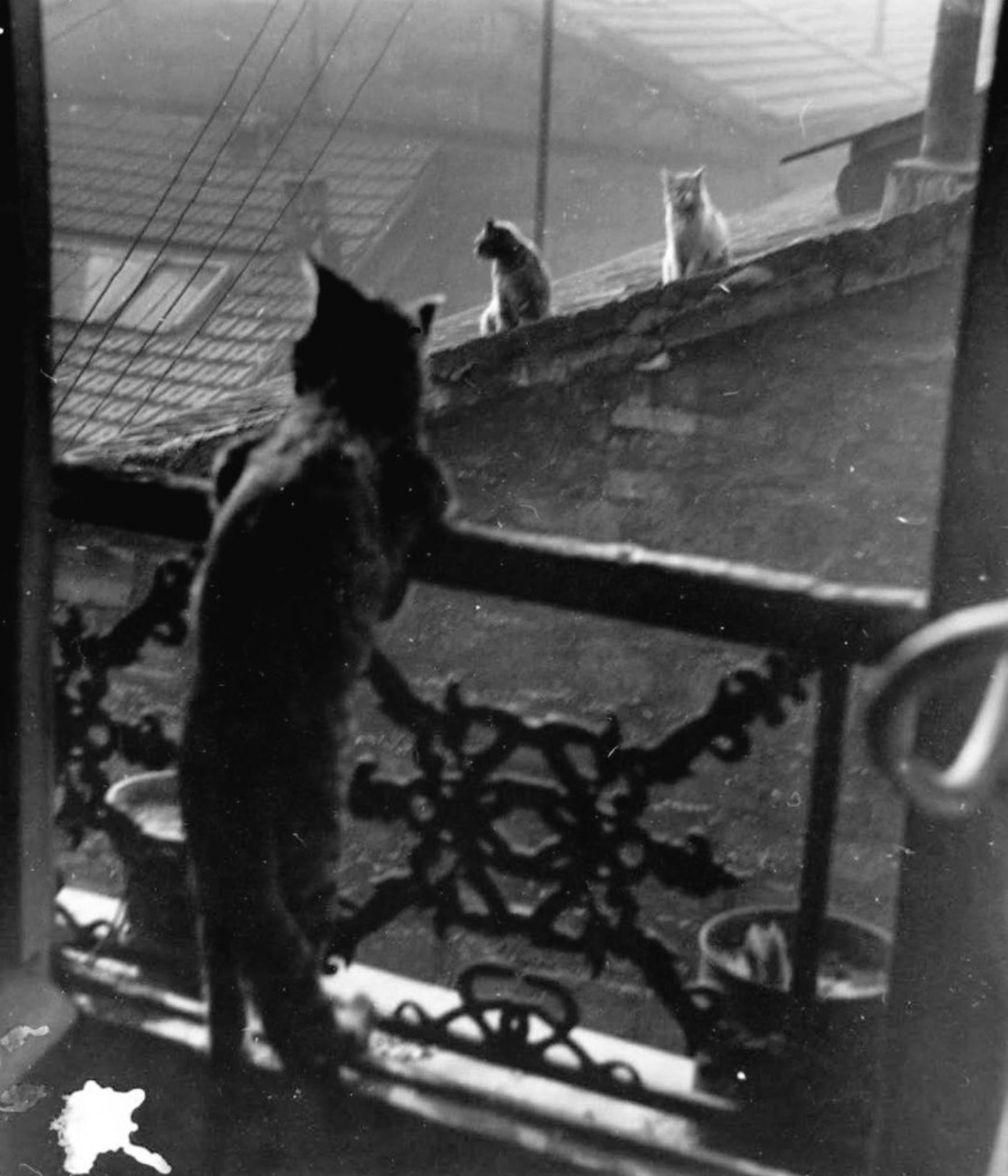 1947PARIS