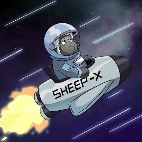 sheep-x
