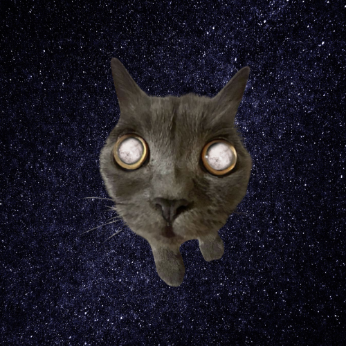 MOONI