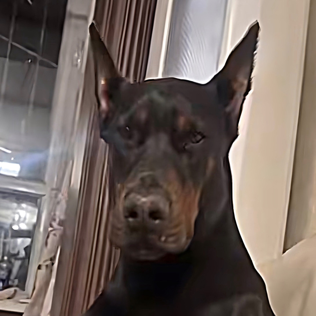 WDOG