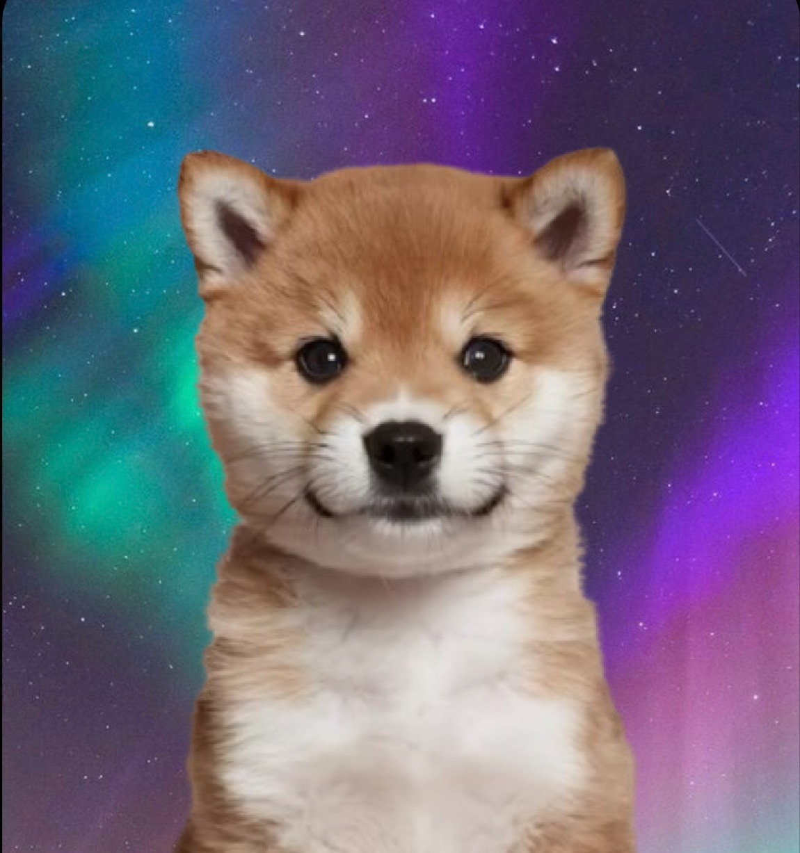 RORA