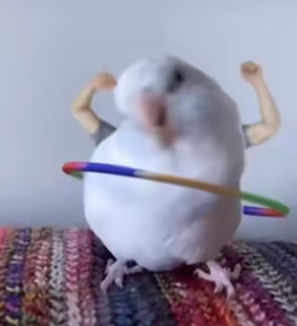 Arlo
