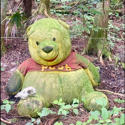 Pooh-san