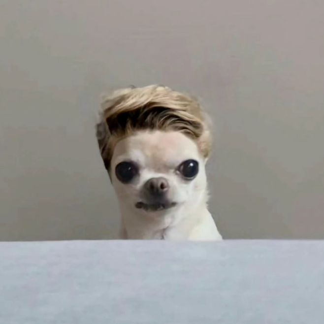 Daegi