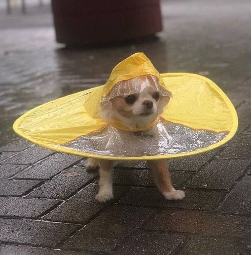 UFO