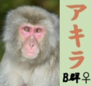 アキラ