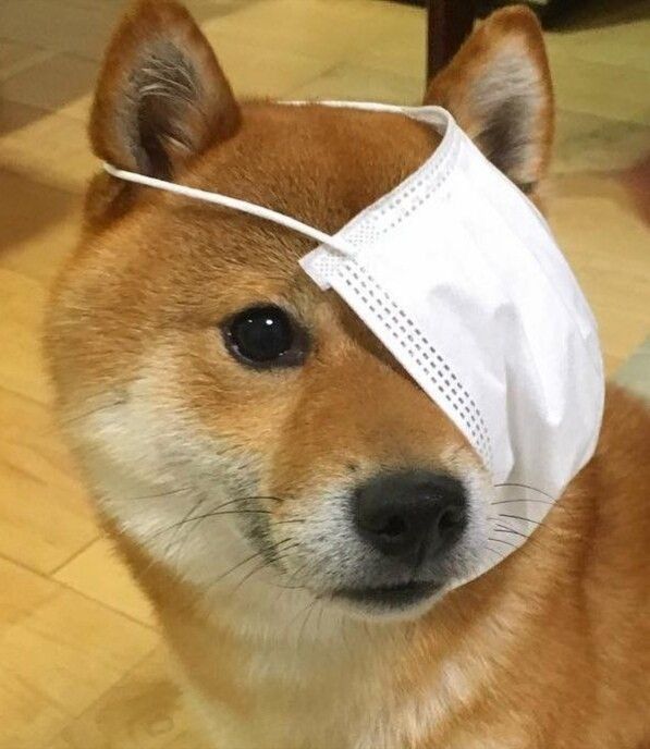 Arr